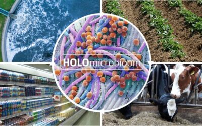 Microbiome Friday Seminar – 21 April 2023 with Stanley Brul (SILS (FNWI), UvA)